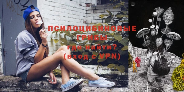 дживик Нязепетровск