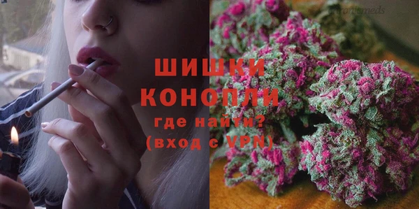дживик Нязепетровск