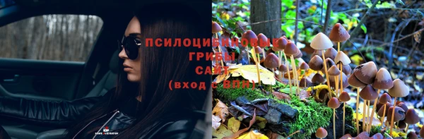 PSILOCYBIN Осинники